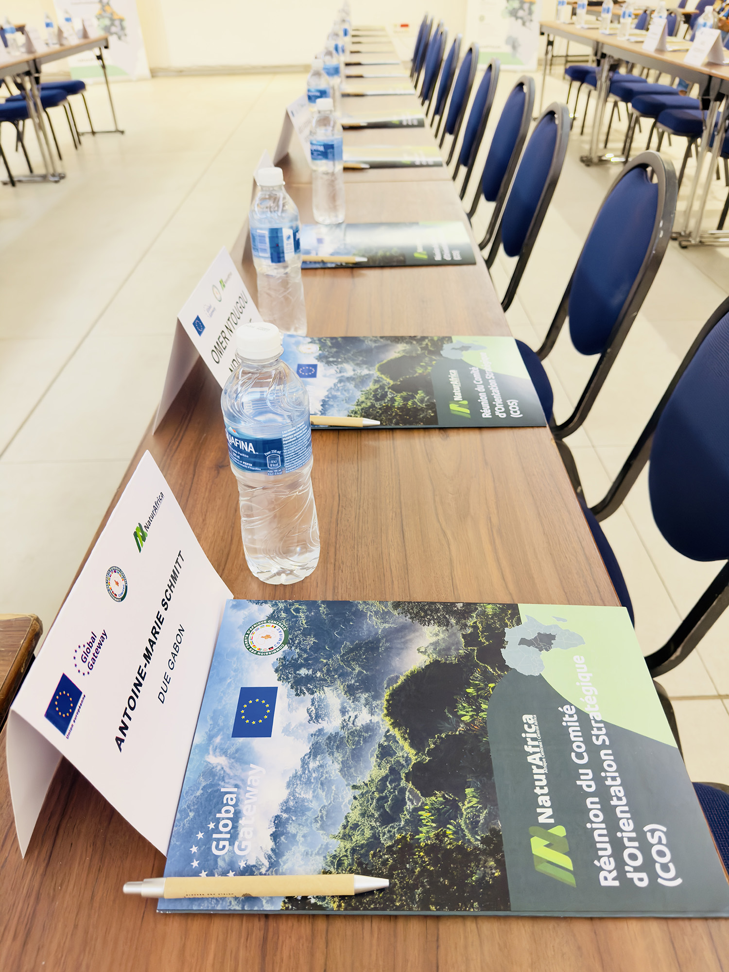 Réunion du comité d'orientation stratégique (COS 2), Kinshasa, RDC