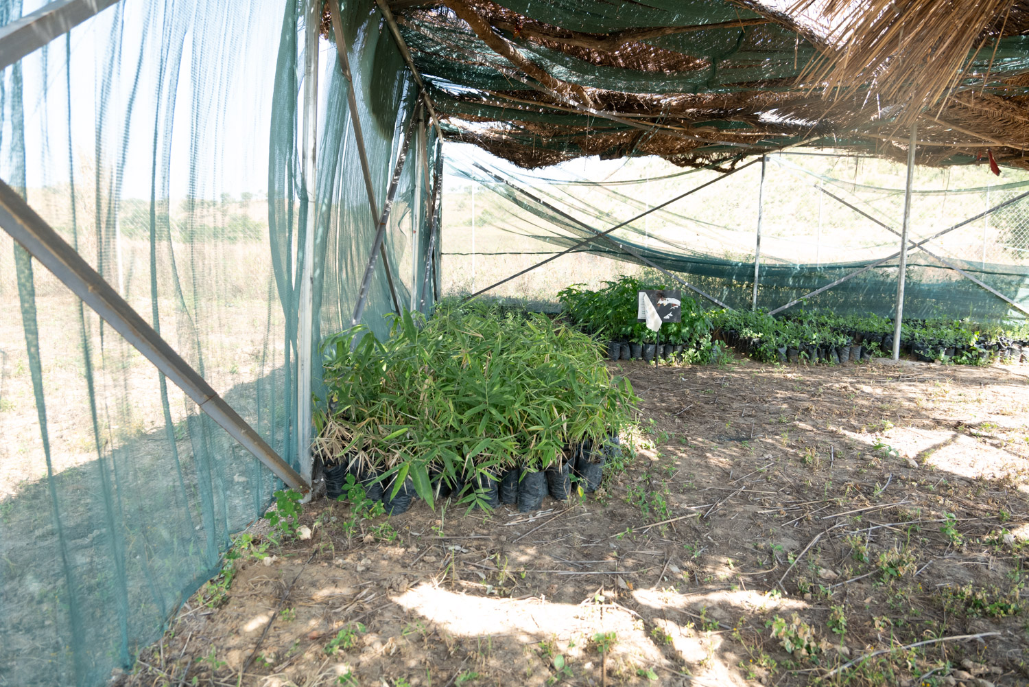 Visite centre de ressource rural de Bawan 005