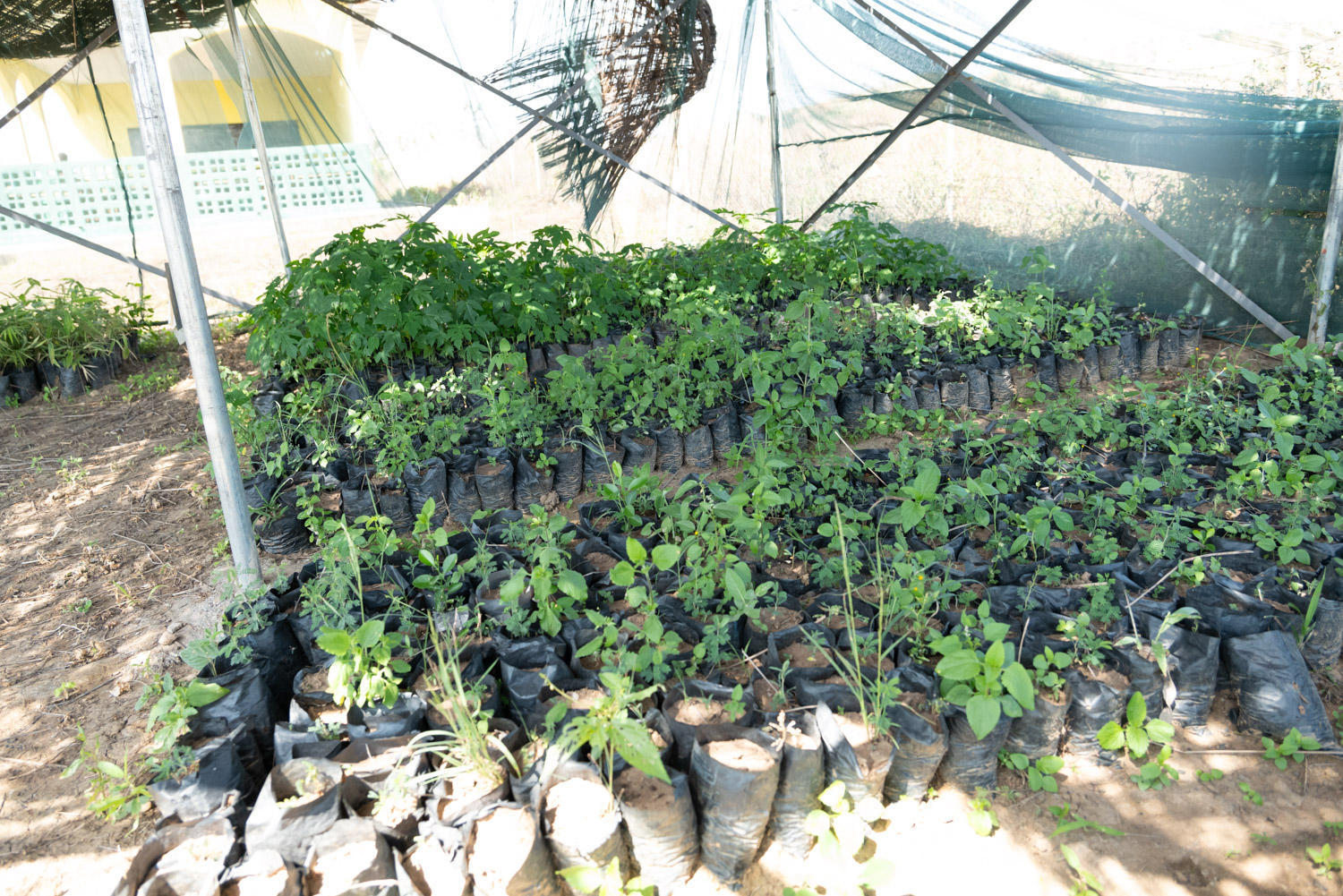 Visite centre de ressource rural de Bawan 008